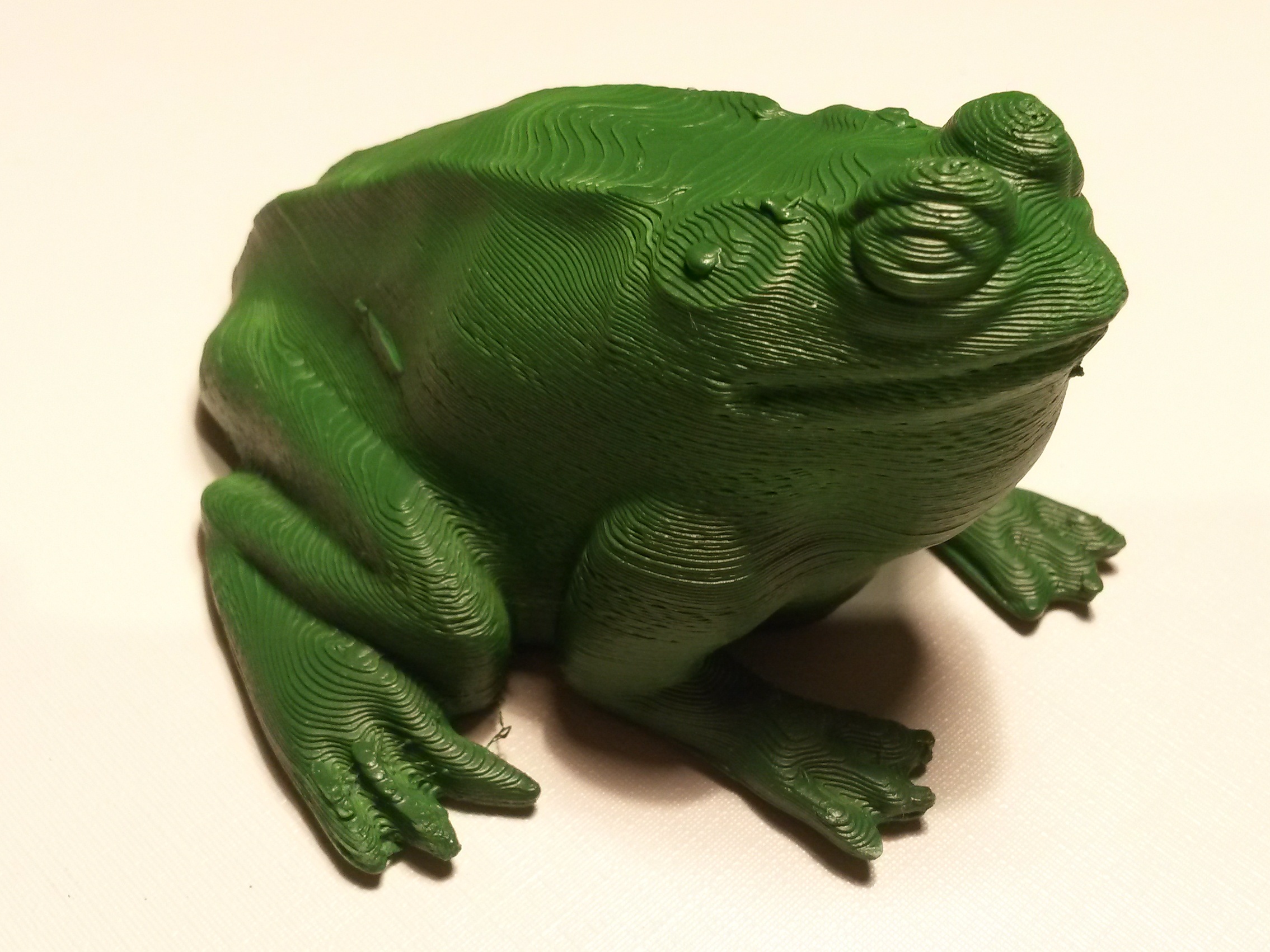 Bull Frog (Ochsenfrosch)