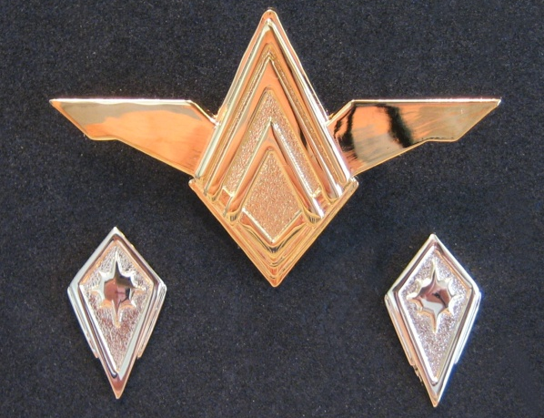 BSG - Senior officer uniform rank pin