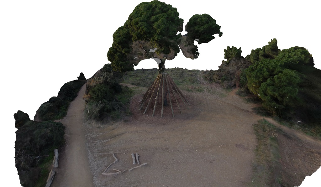 Pi d'en Xandri