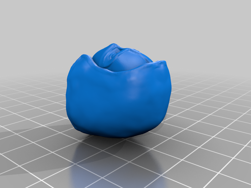 Basic Ninja Headsculpt