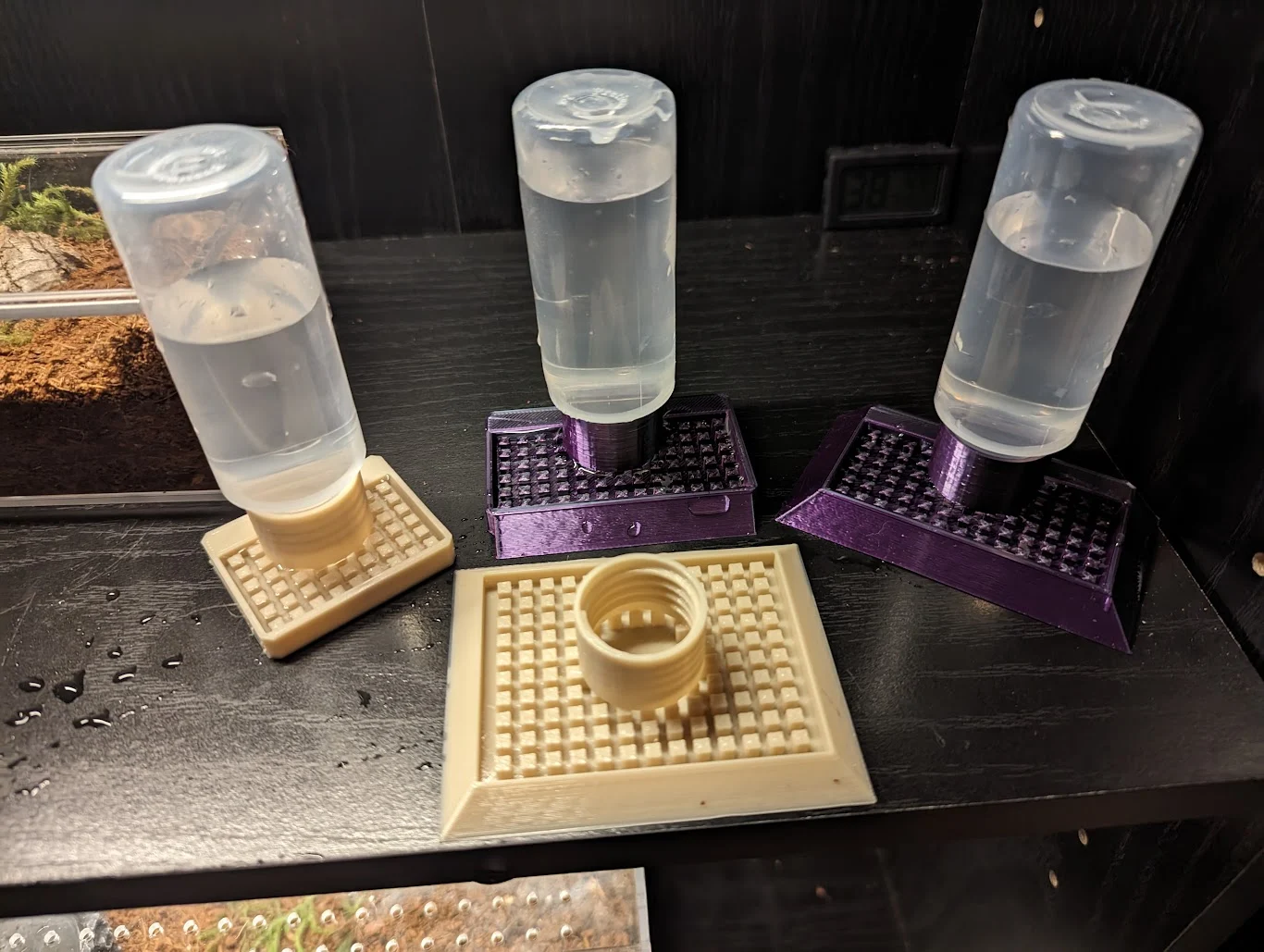 Cricket & Insect Water & Feeding Dishes