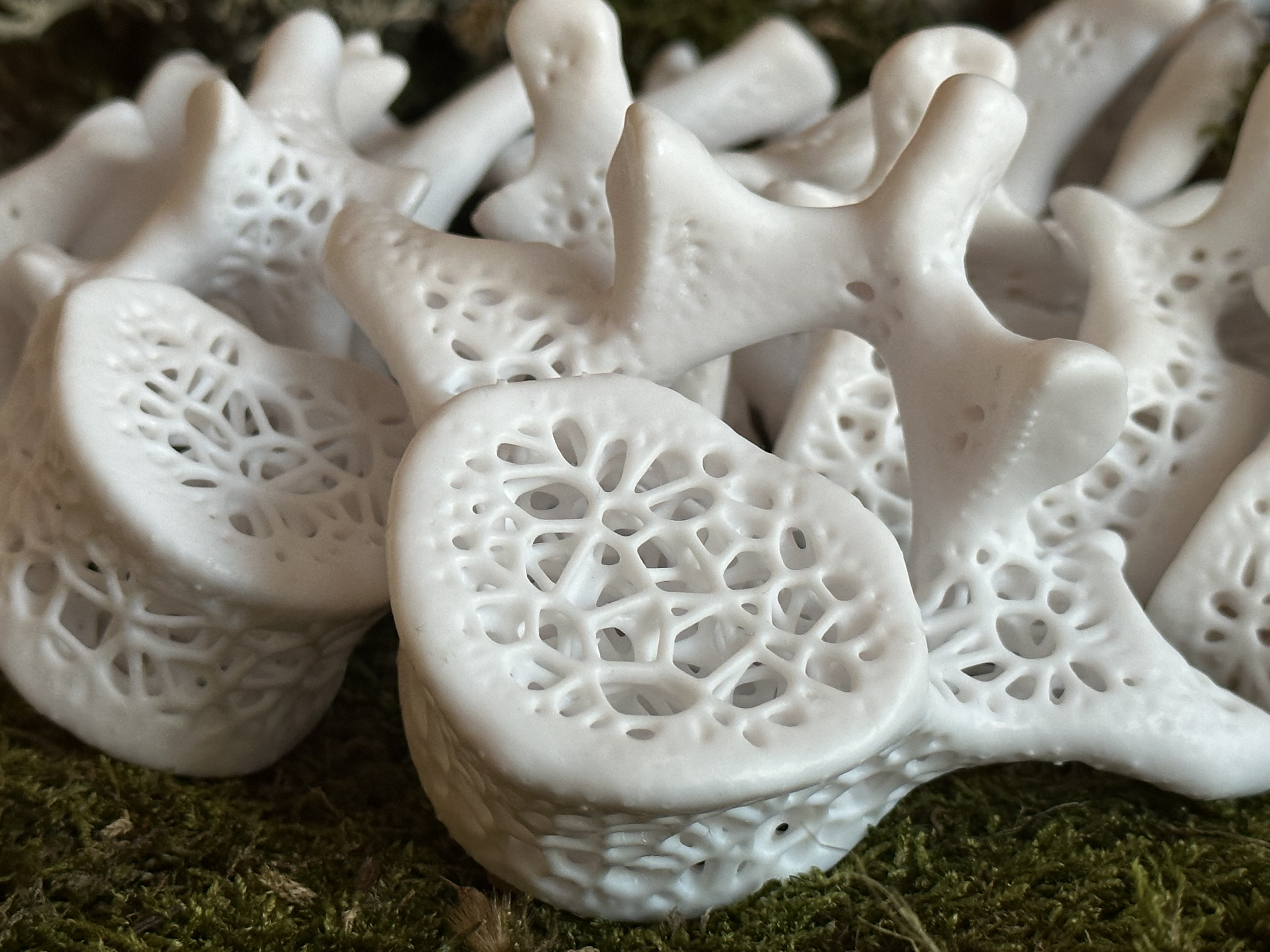 Voronoi Vertebrae