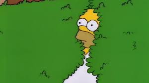 Homer disappear