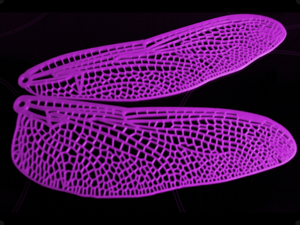 Dragonfly Wing Set