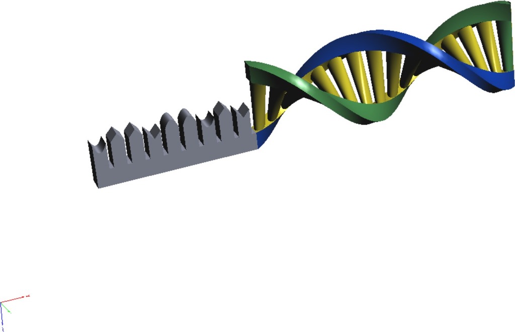 Biological Process: DNA translation and RNA transcription.