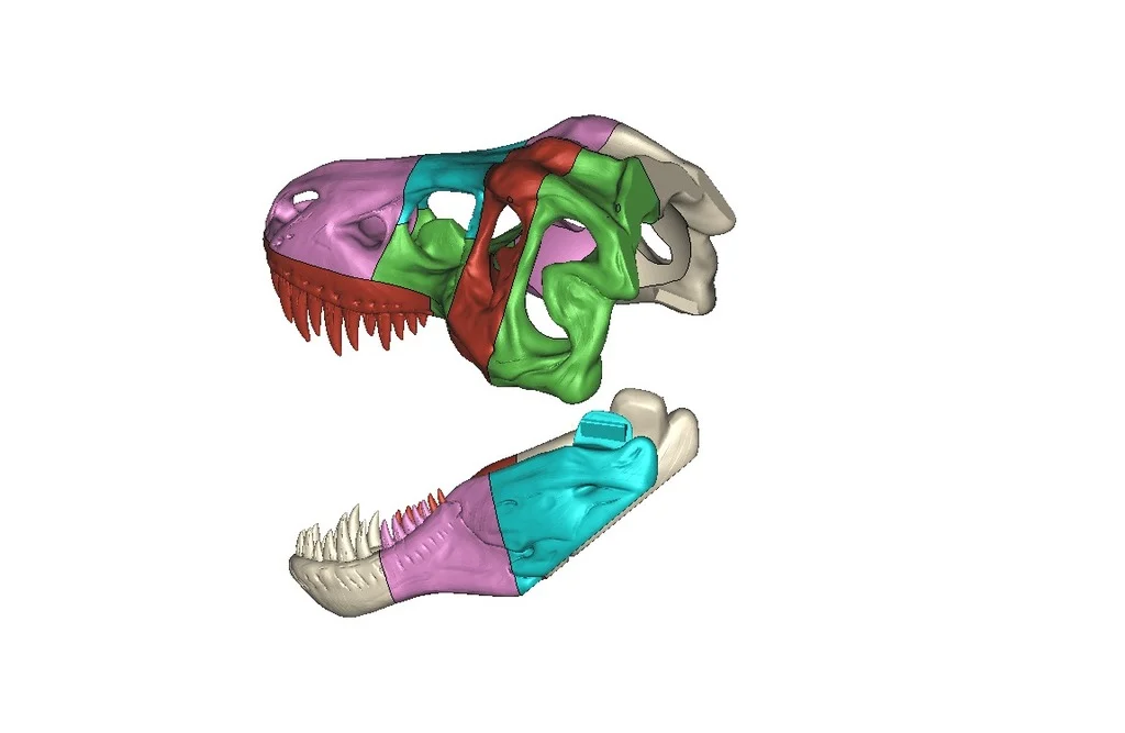 T-Rex Mask