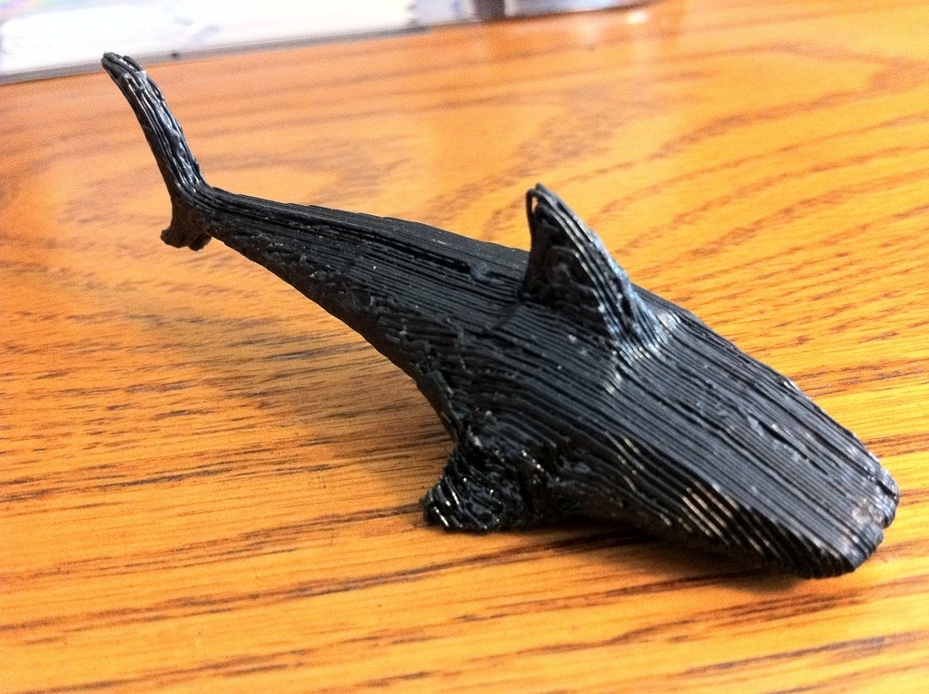 Shark
