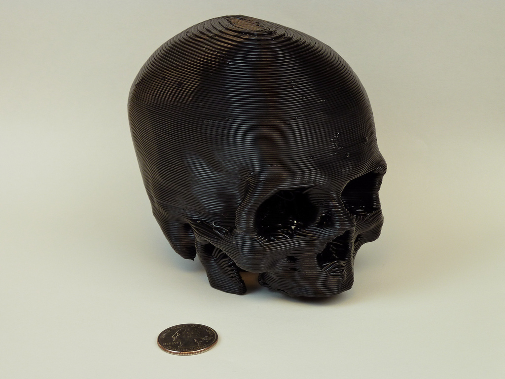 Skull