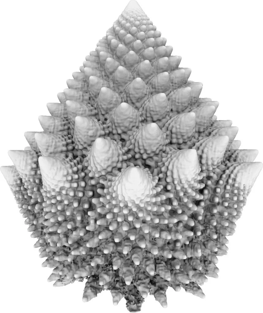 Fractal Tree