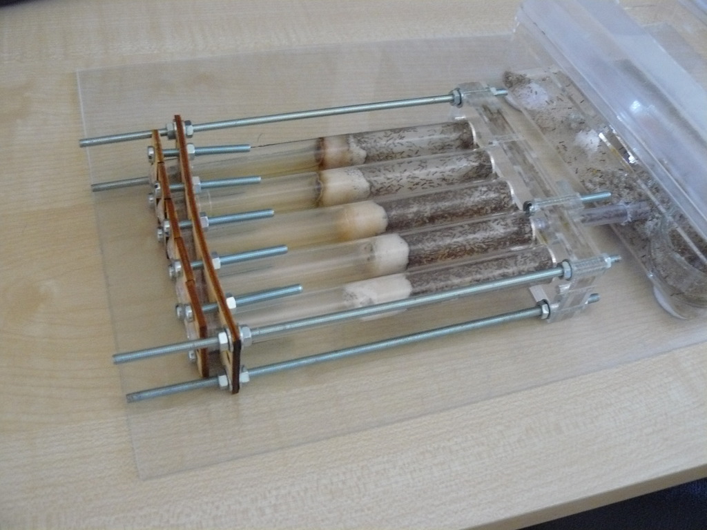 Test Tube ant Farm v2