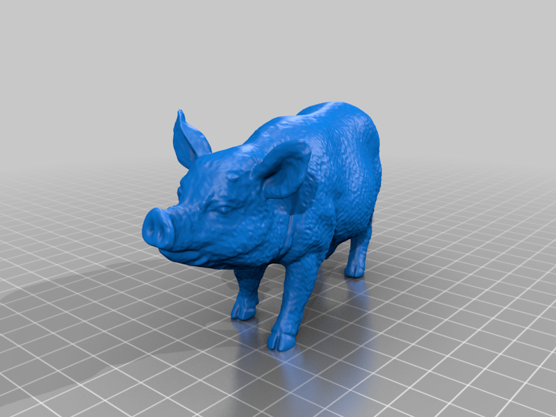 Pig Sow