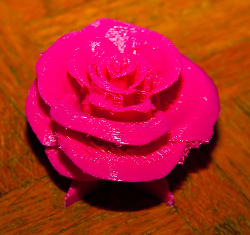 Rose on Edelweiss in Pink