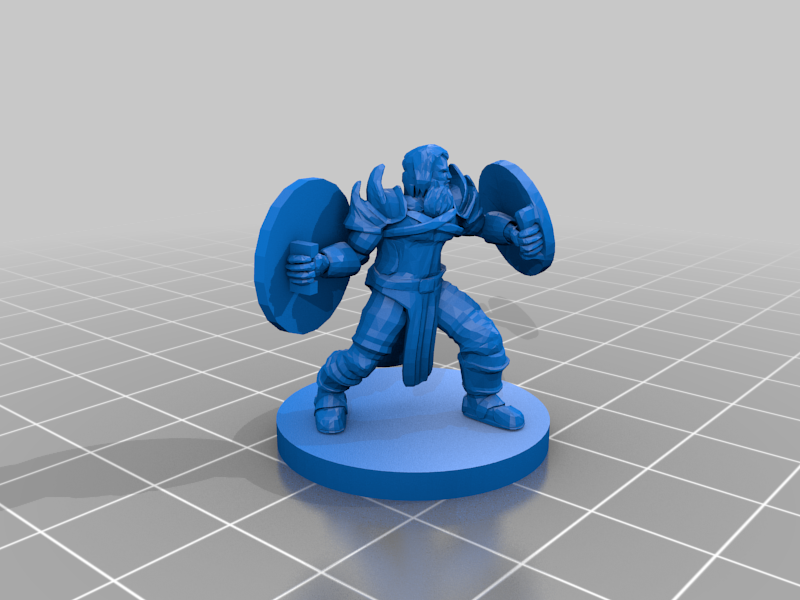 Dual Shield Fighter