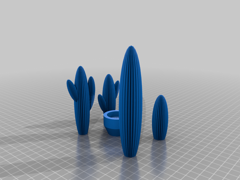 Seguaro Cacti