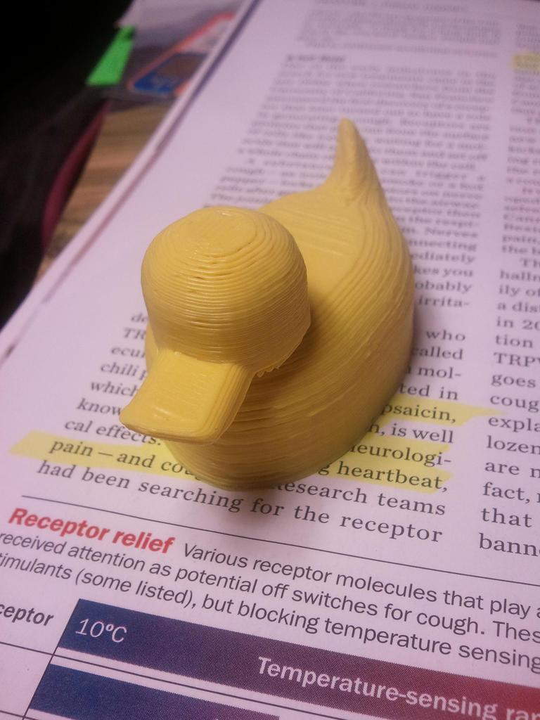 Rubber Duck