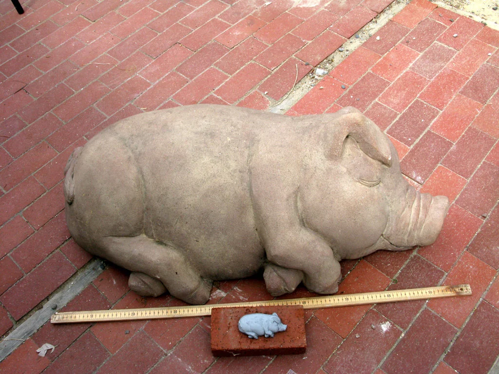 Sleeping Pig