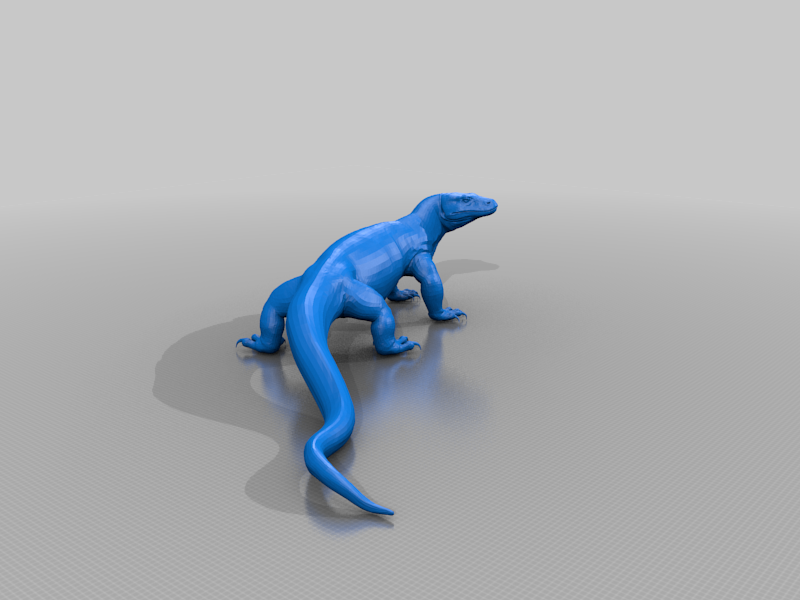 Komodo Dragon