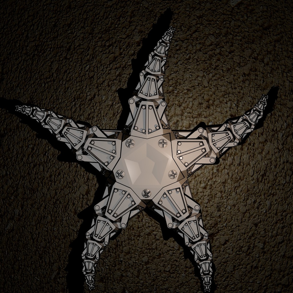 Nautical Steampunk Starfish