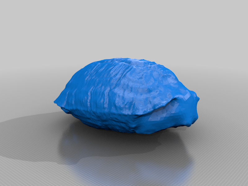 Turtle Shell - 3Dscan