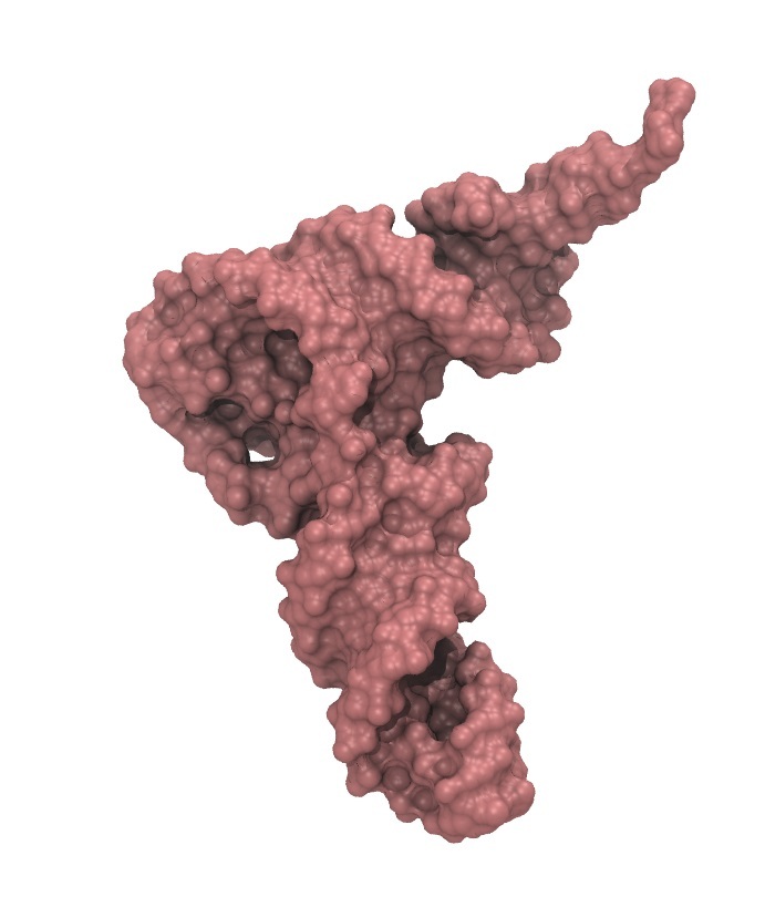 transfer RNA