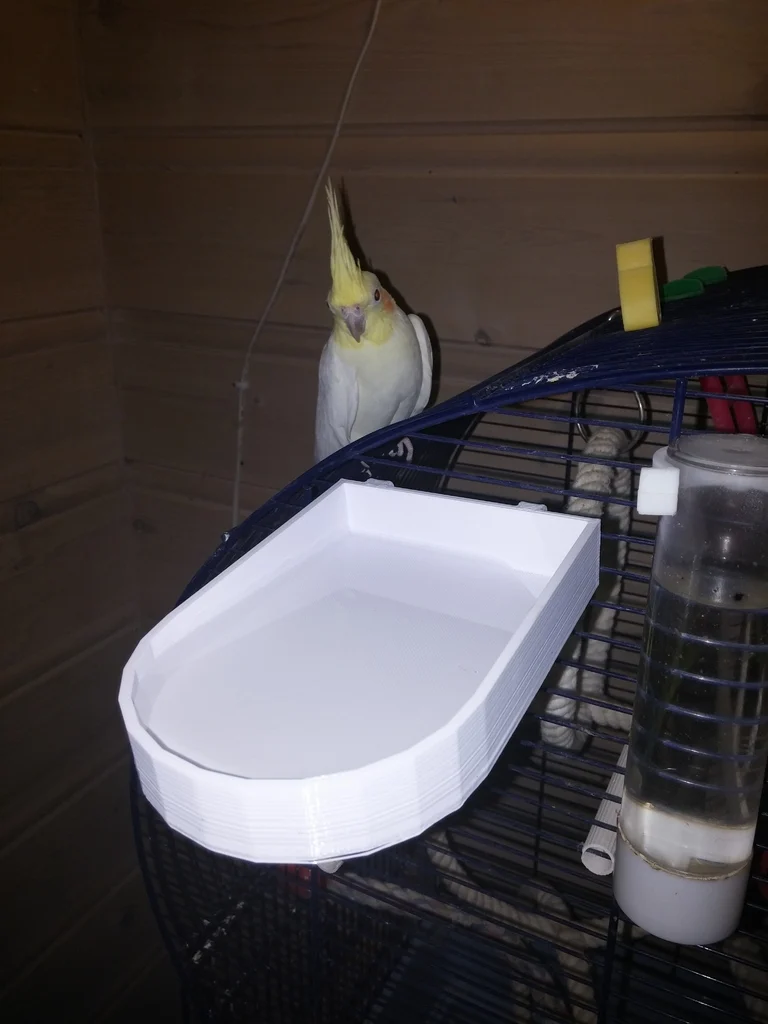 bird bath