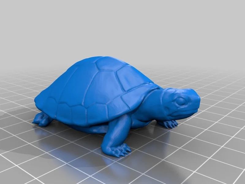 亀（Turtle）3Dデータ