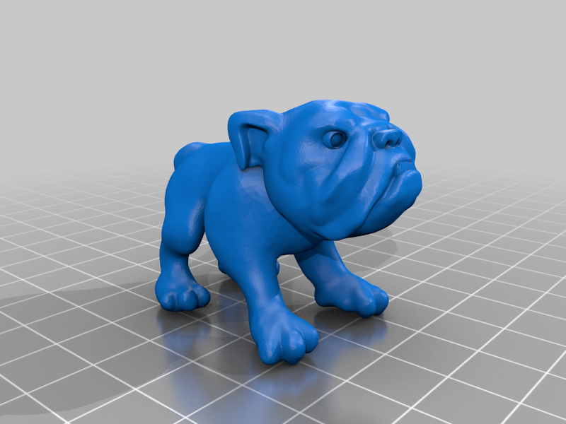 Bull Dog