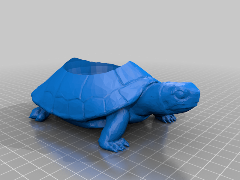 Turtle