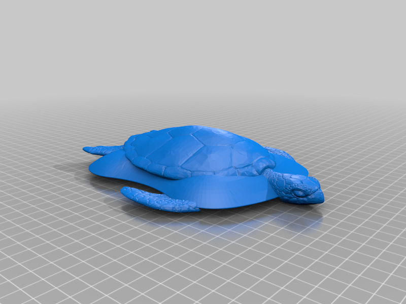 fastest turtle you'll ever meet.  Teal Sport™ Custom Top