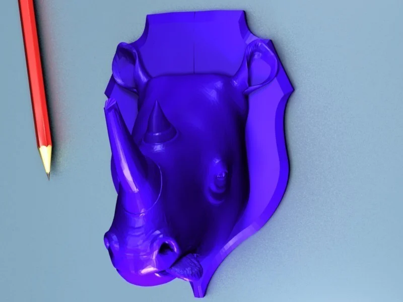 Hunted Rhino