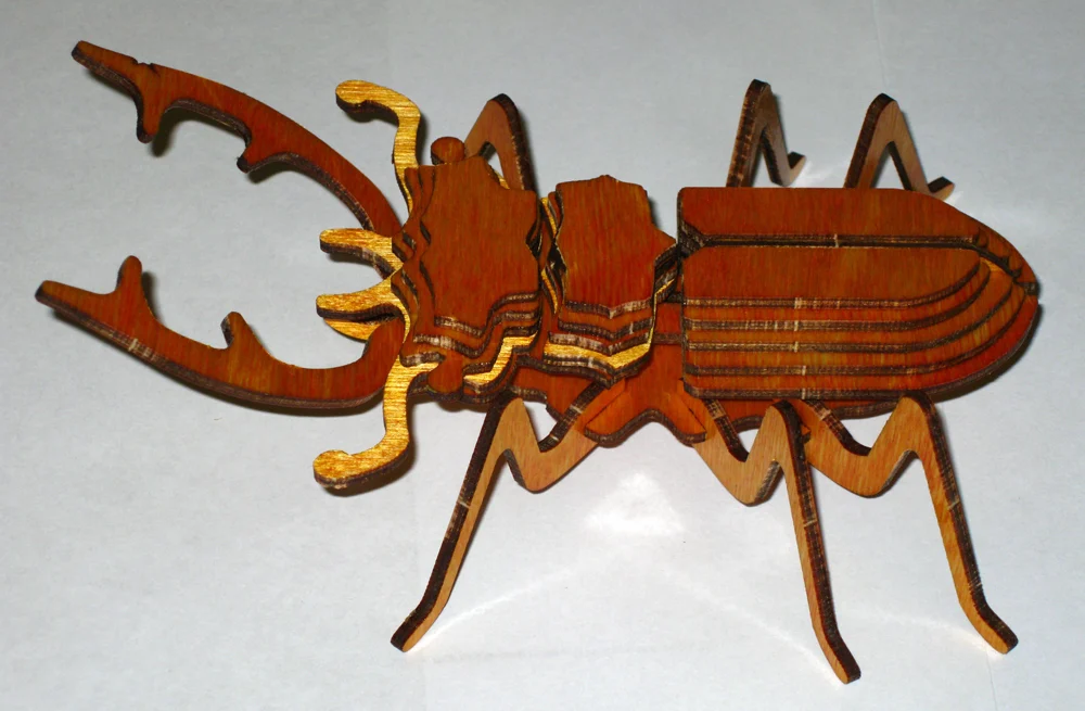 Stag beetle
