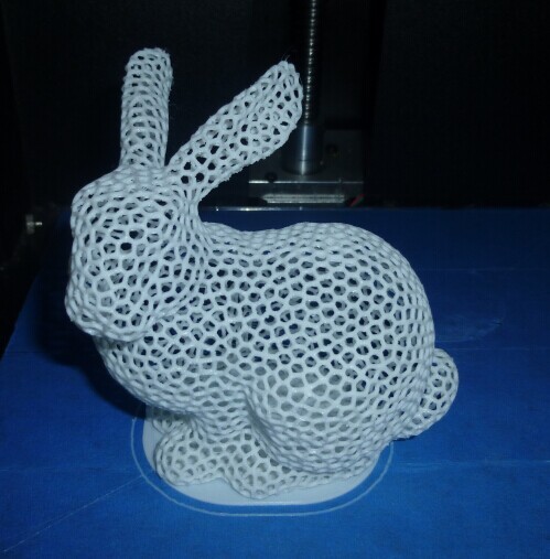 Hollow out rabbit limit test