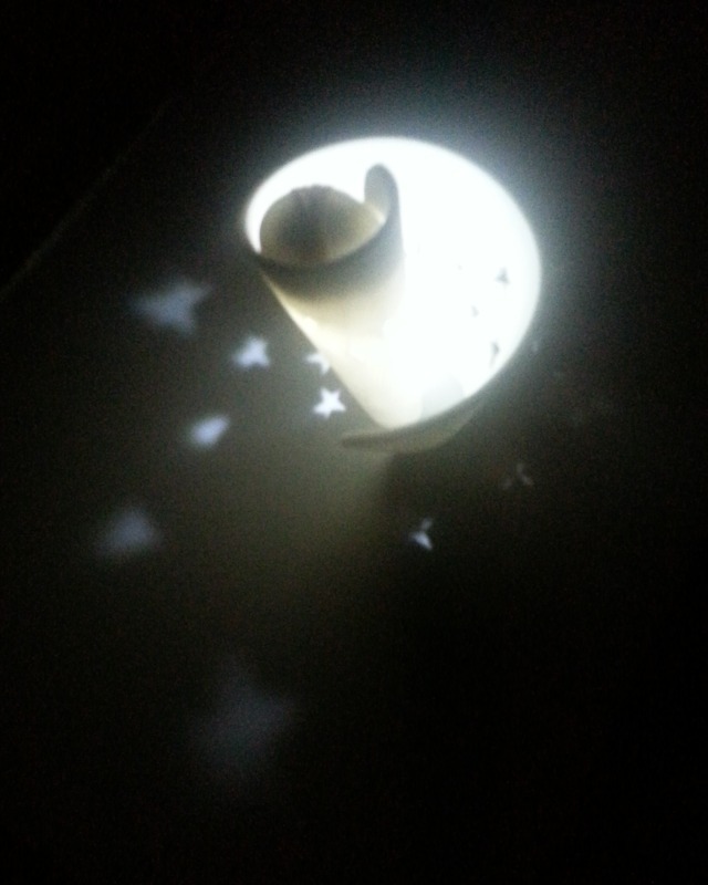 Star Projector - Canis Major
