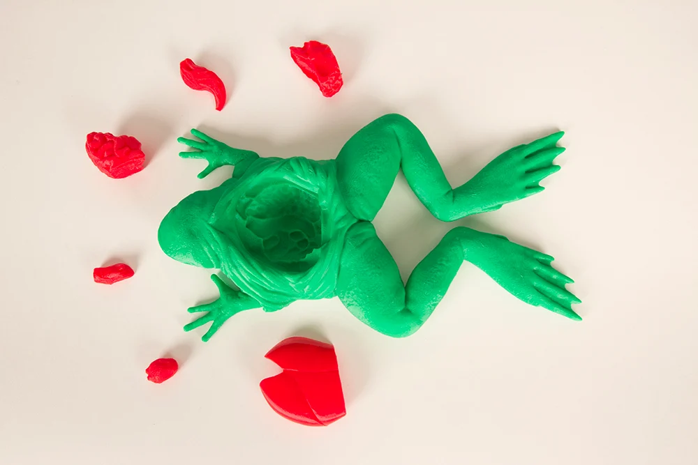 The Frog Dissection Kit
