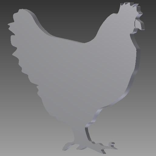 chicken farm animal