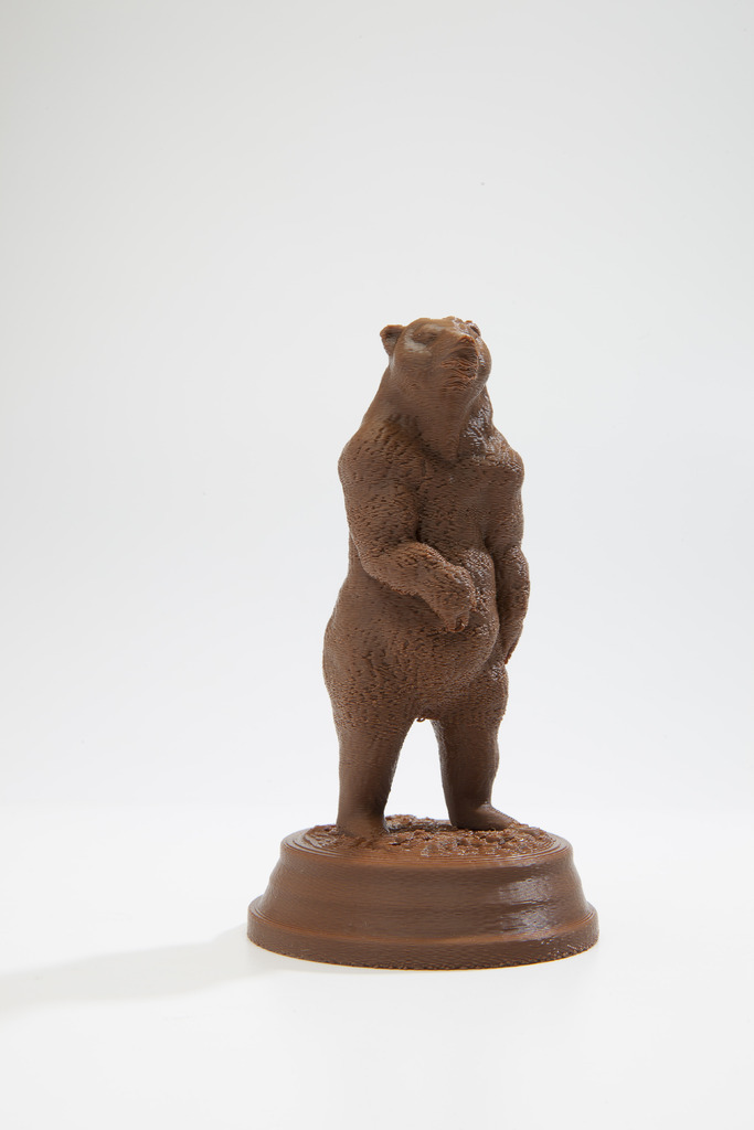 Brown Bear (Ursus arctos)