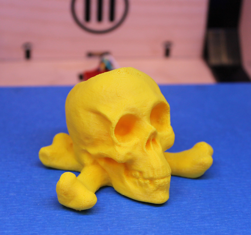 Skull & Crossbones