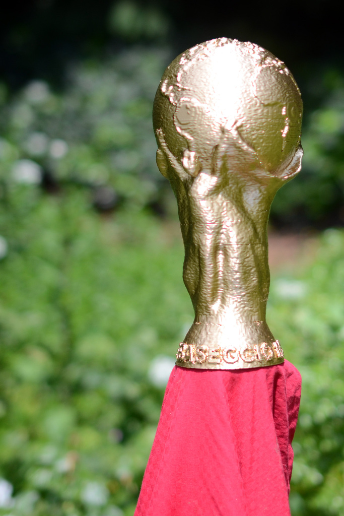 FIFA Worldcup Trophy (Remix)