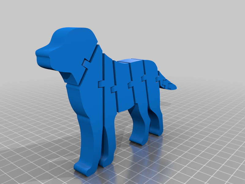 Flexi labrador dog