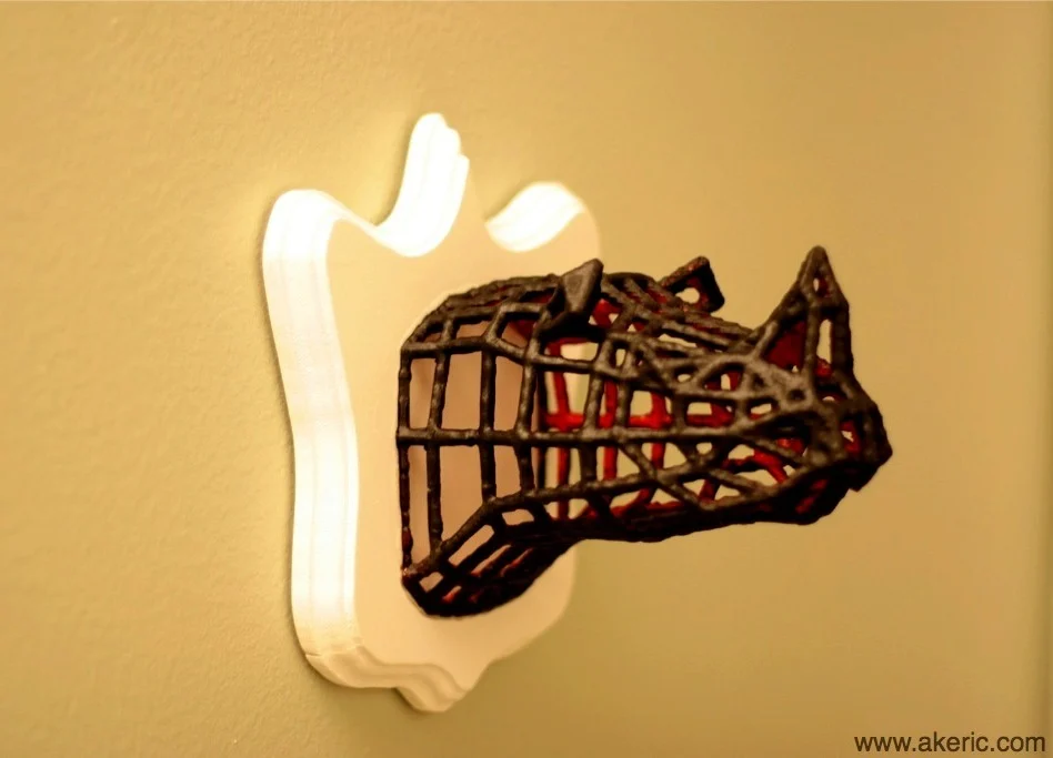 Endangered Species: Rhino