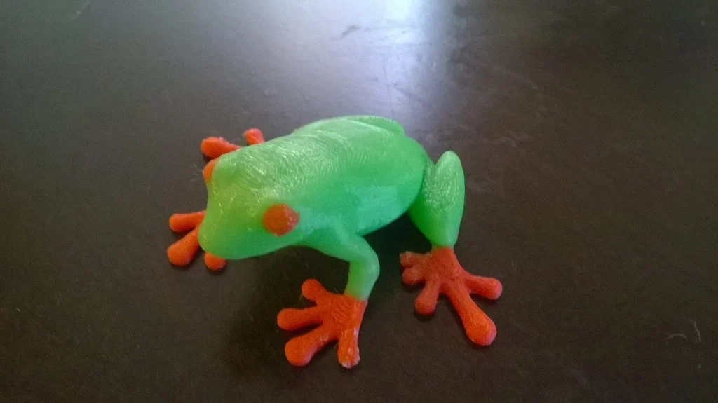 Dual colored Tree Frog
