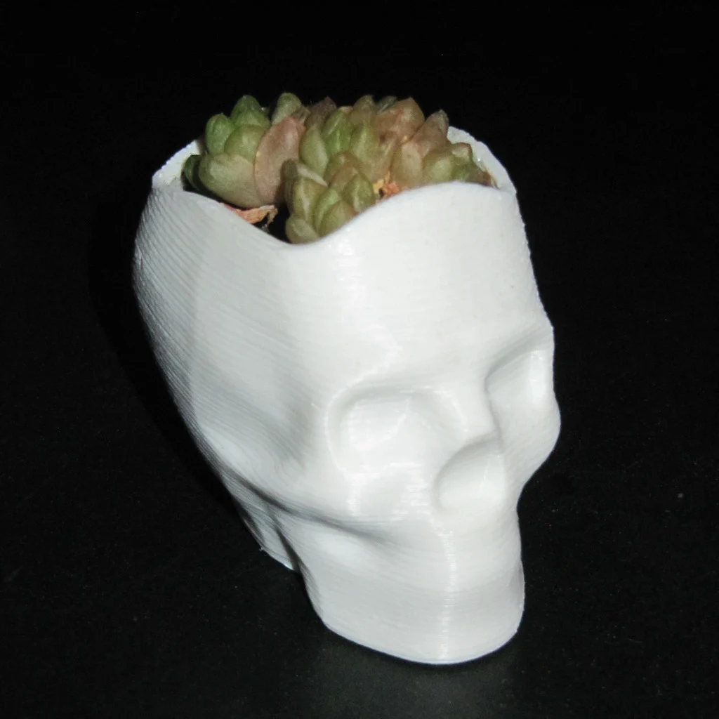 Isabelle the Skull Vase