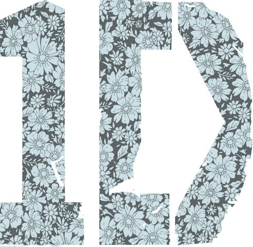 One Direction iPhone 4/4S Case