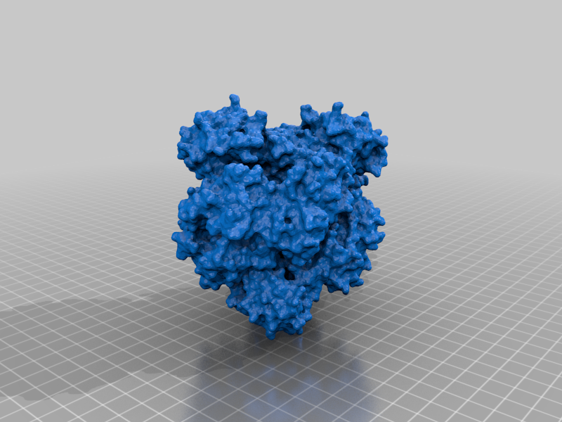 SAMHD1 Protein