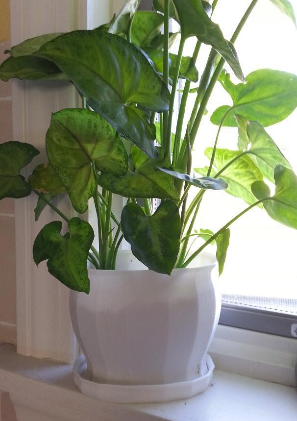 Window-Sill Flower Pot