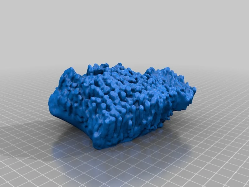 Tabulate Coral