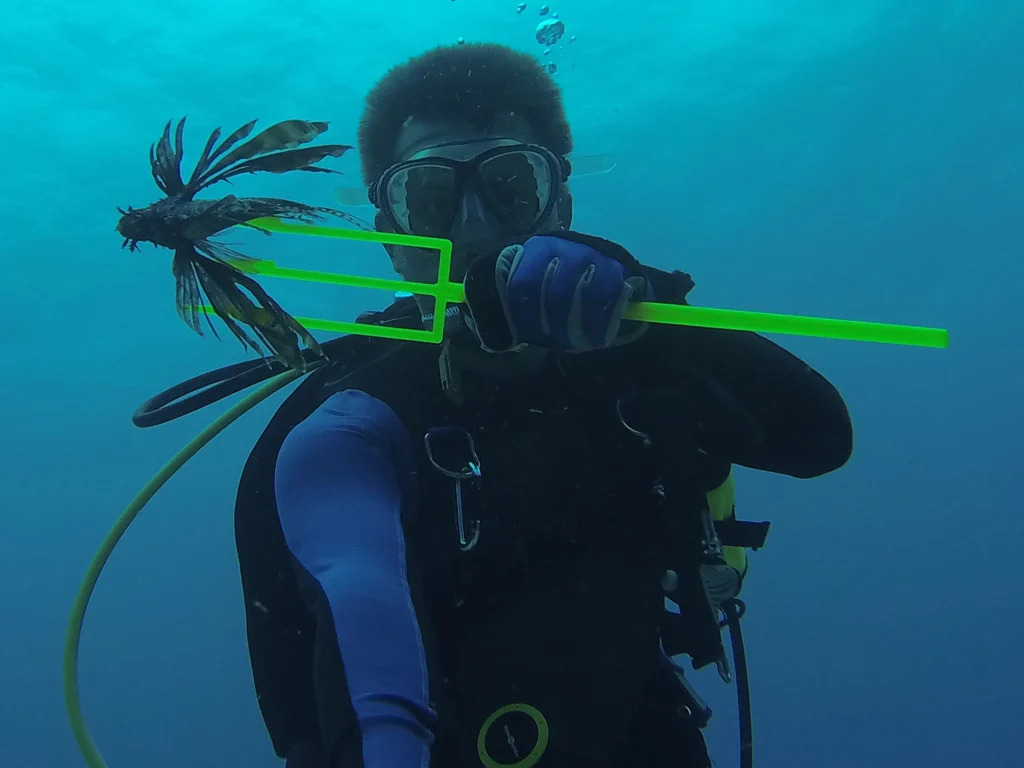 Customizable Spear for LIONFISH Fishing / Hunting