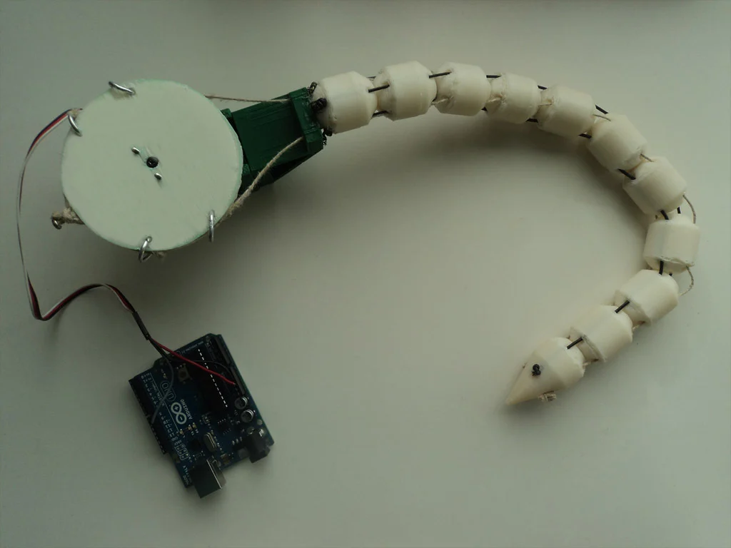 Animatronic Tail.