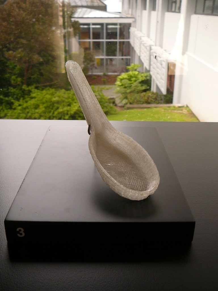 Chinese Soup Spoon