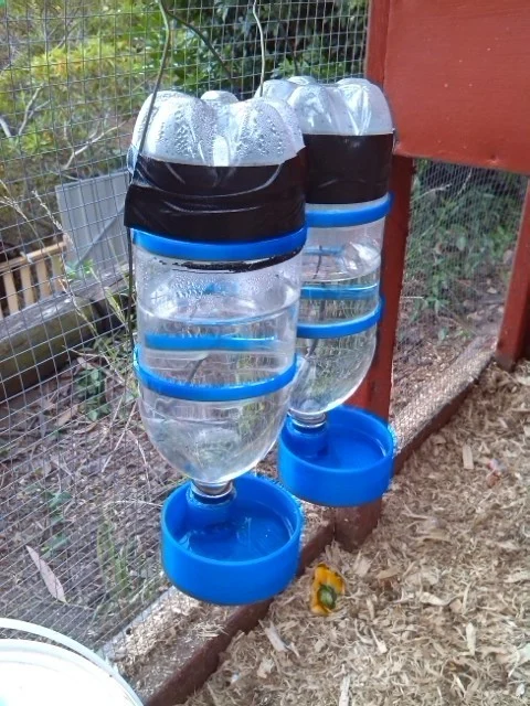 Chicken water dispenser